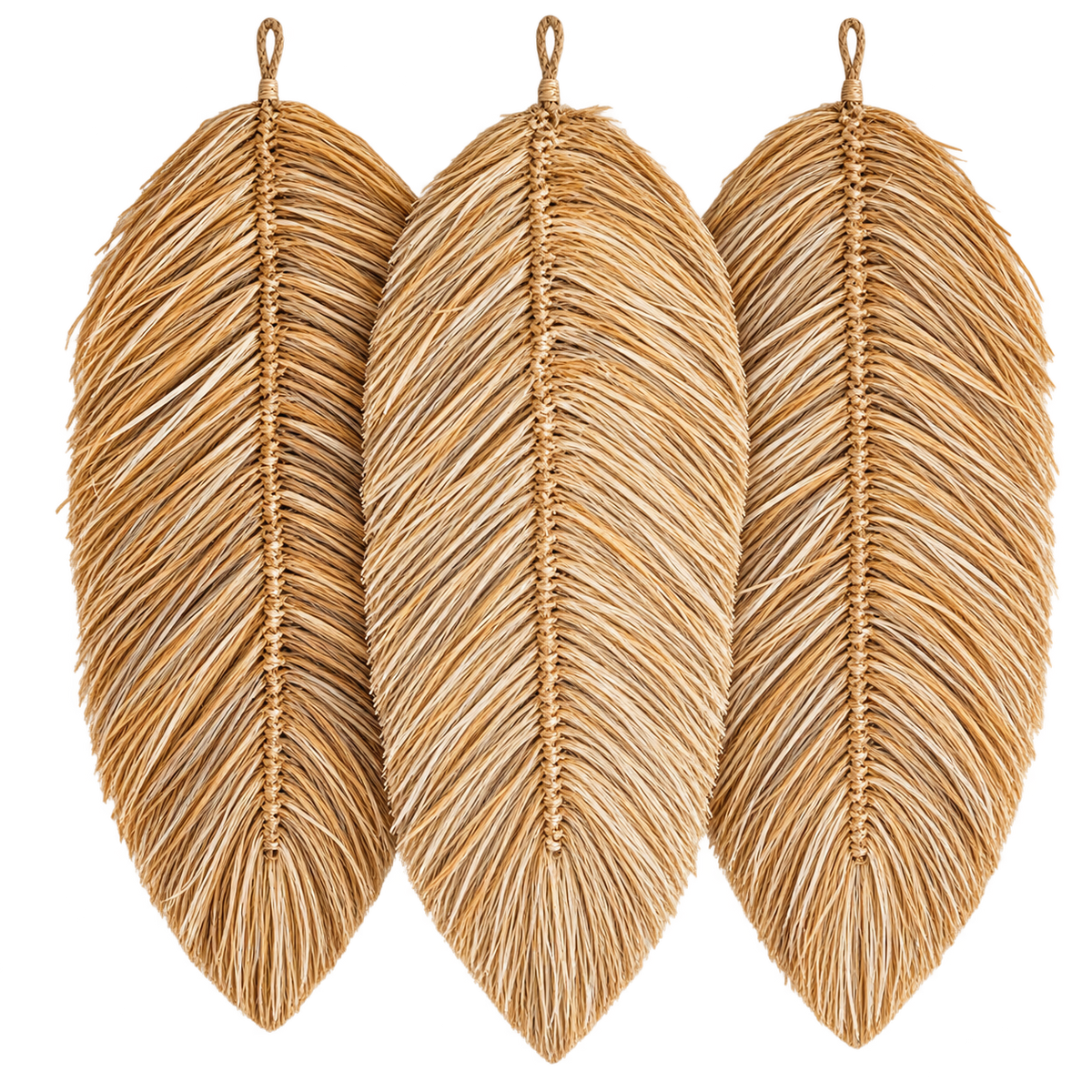 Cala Slim Leaf Wall Decor