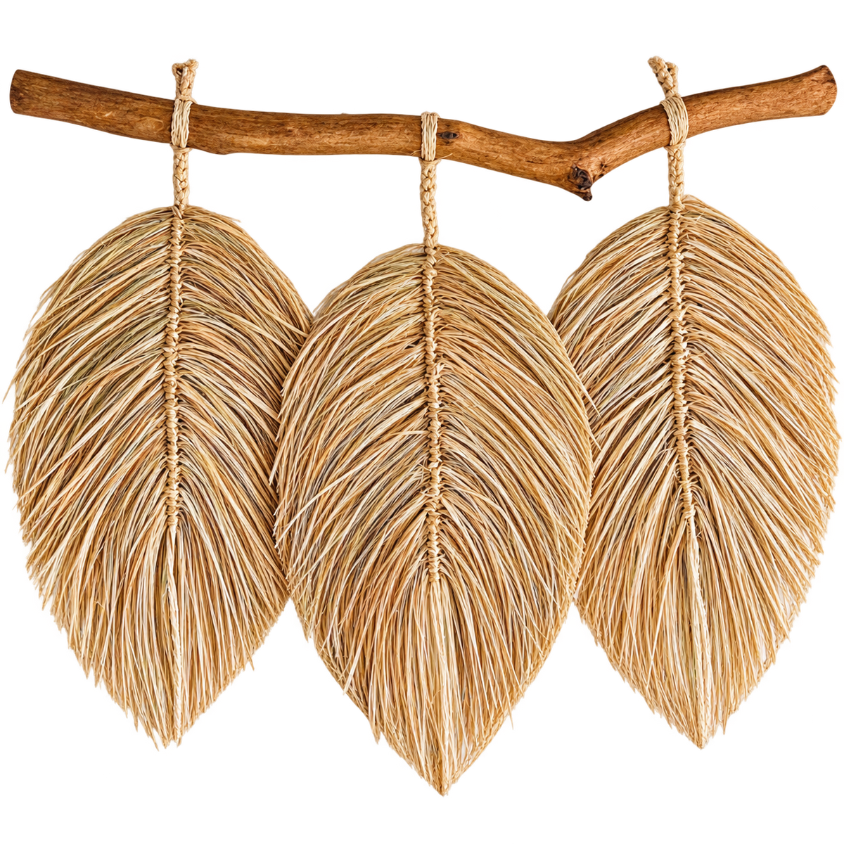 Cala Palm Leaf Trio