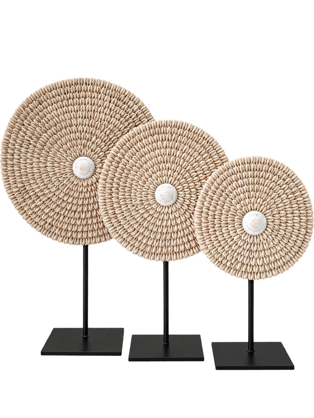 Sekar Shell Sculpture