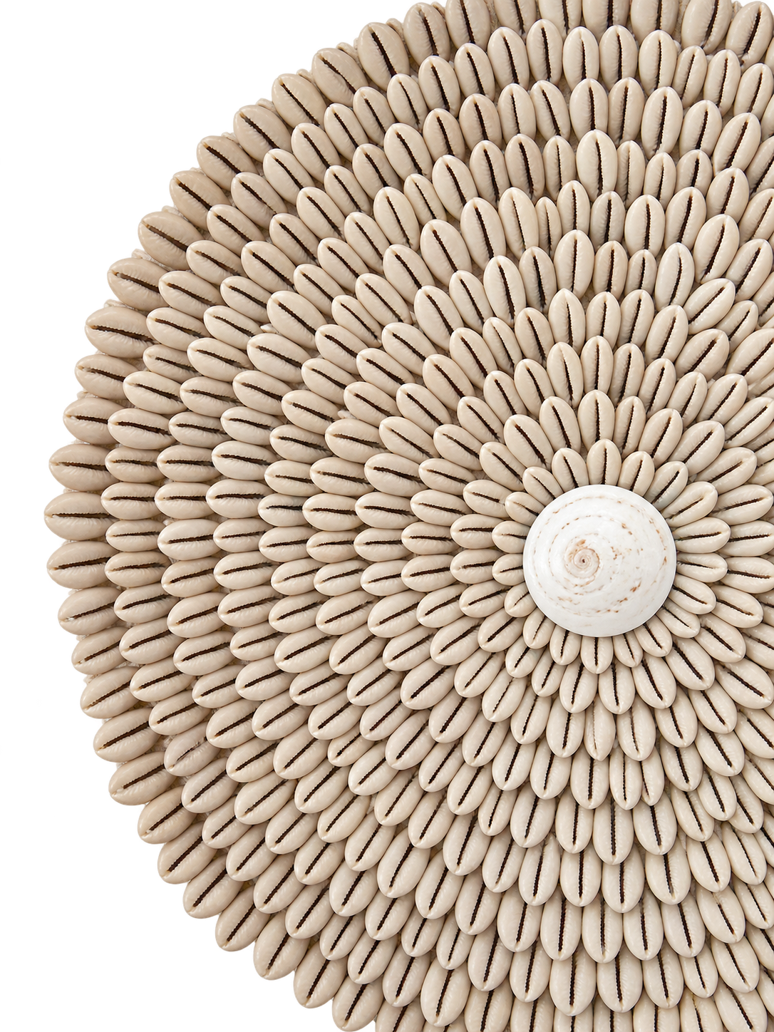 Sekar Shell Sculpture